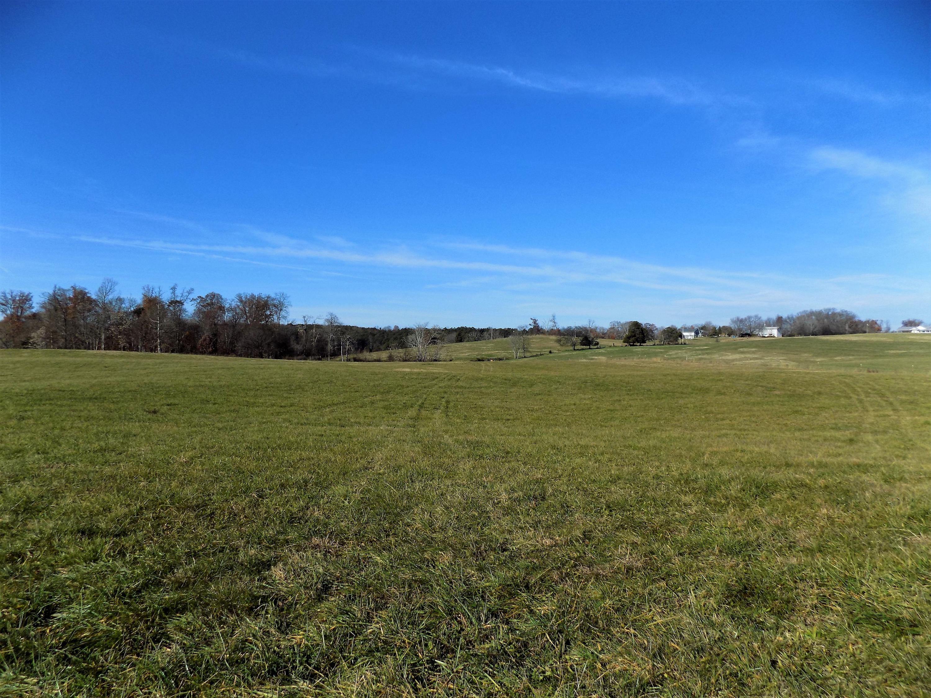 Lot #9 Palace Road Jefferson City, TN 37760 - Photo 16 of 31 Country Setting
