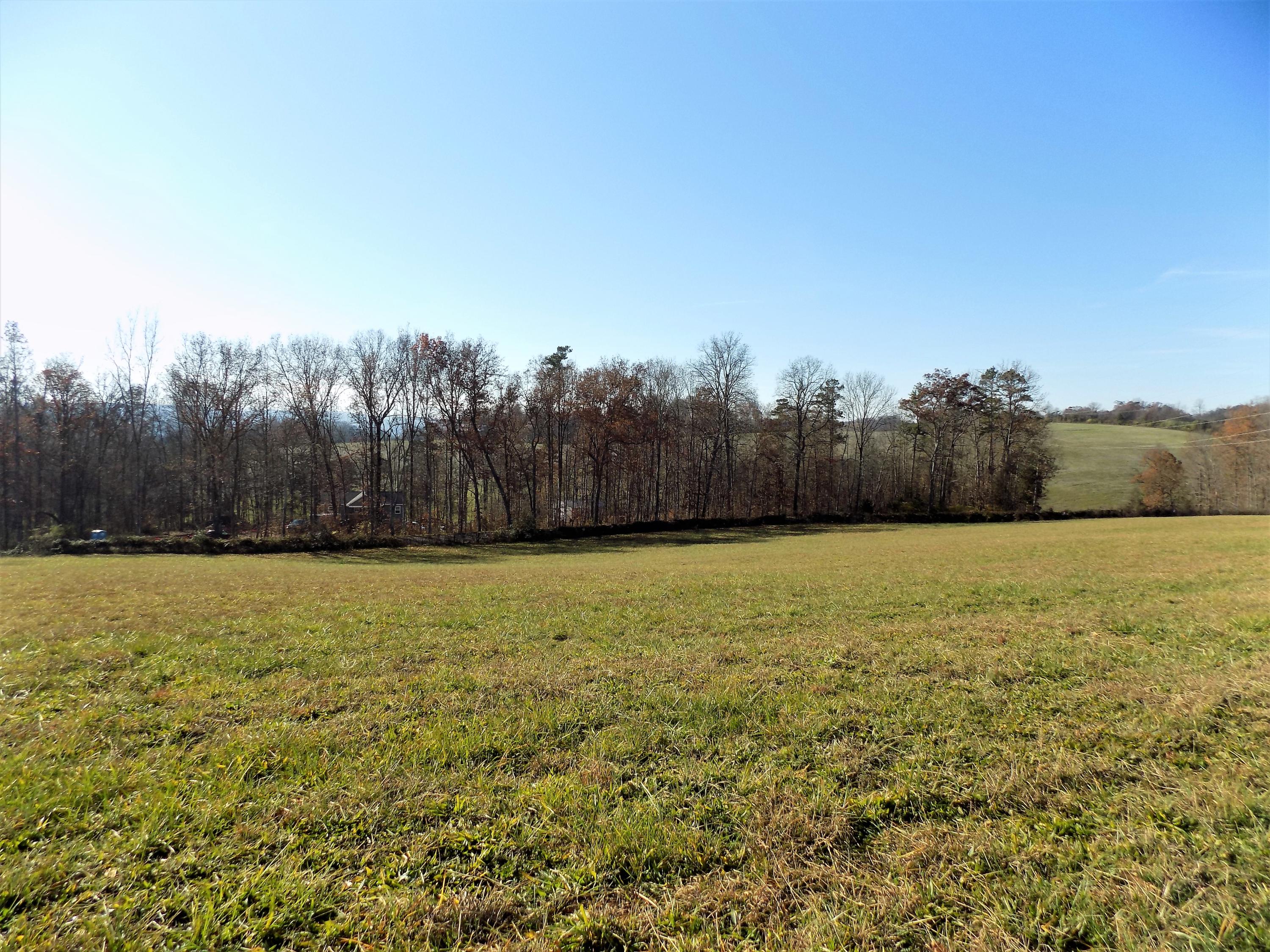 Lot #9 Palace Road Jefferson City, TN 37760 - Photo 18 of 31 Country Setting