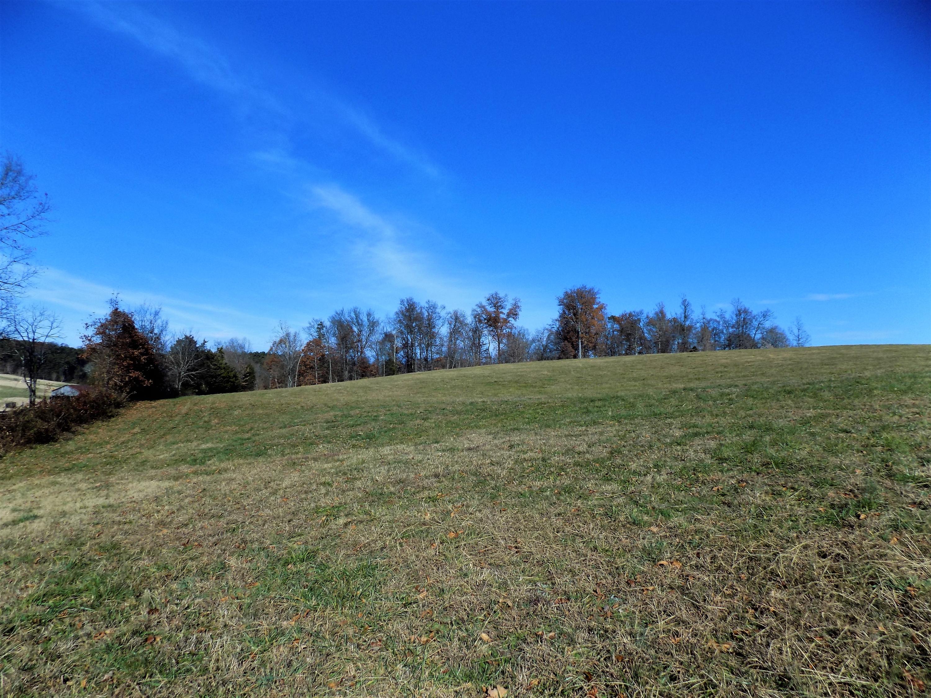 Lot #9 Palace Road Jefferson City, TN 37760 - Photo 19 of 31 Country Setting
