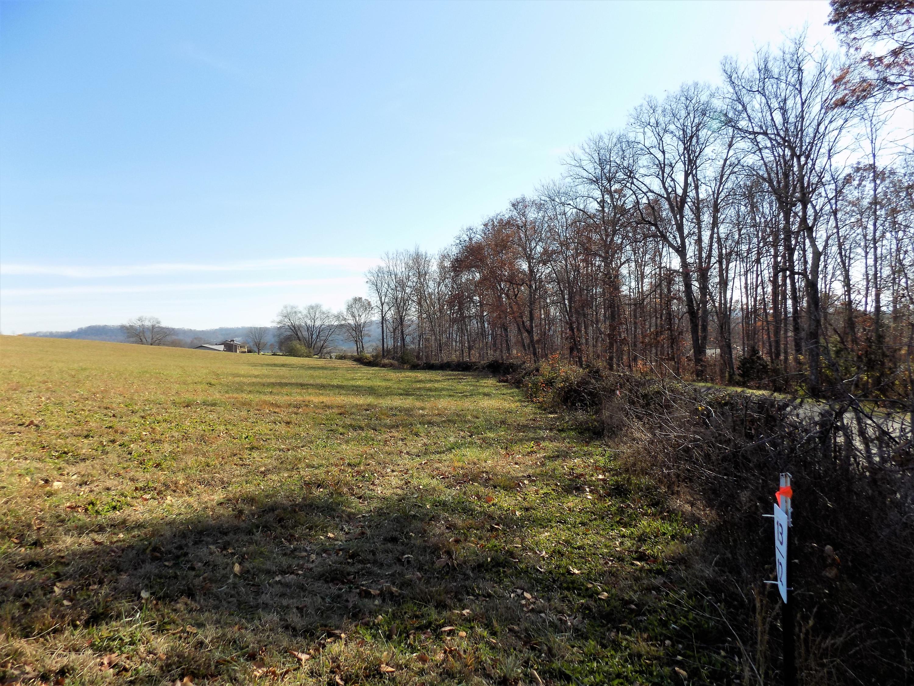 Lot #9 Palace Road Jefferson City, TN 37760 - Photo 20 of 31 Country Setting
