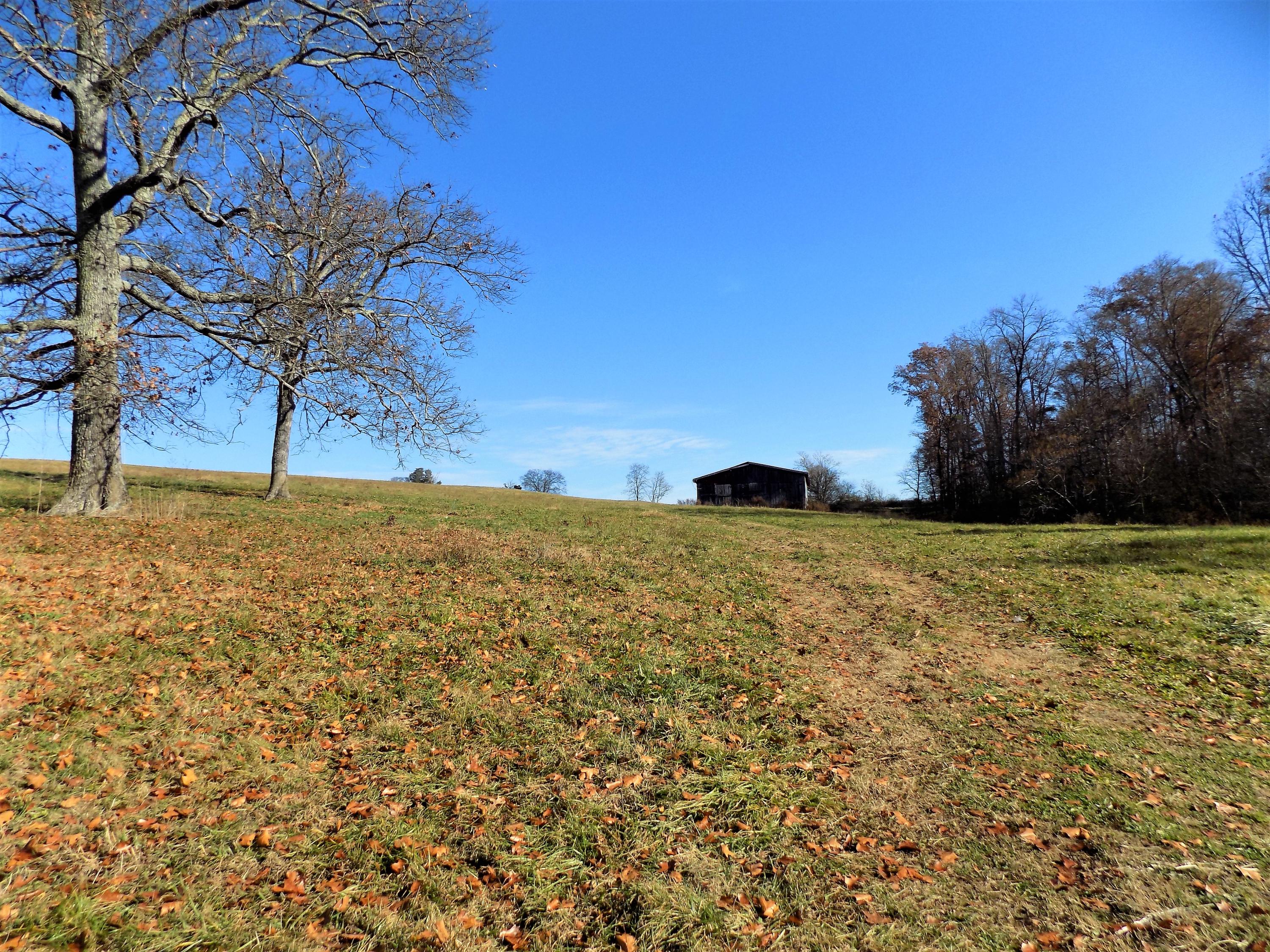 Lot #9 Palace Road Jefferson City, TN 37760 - Photo 21 of 31 Country Setting