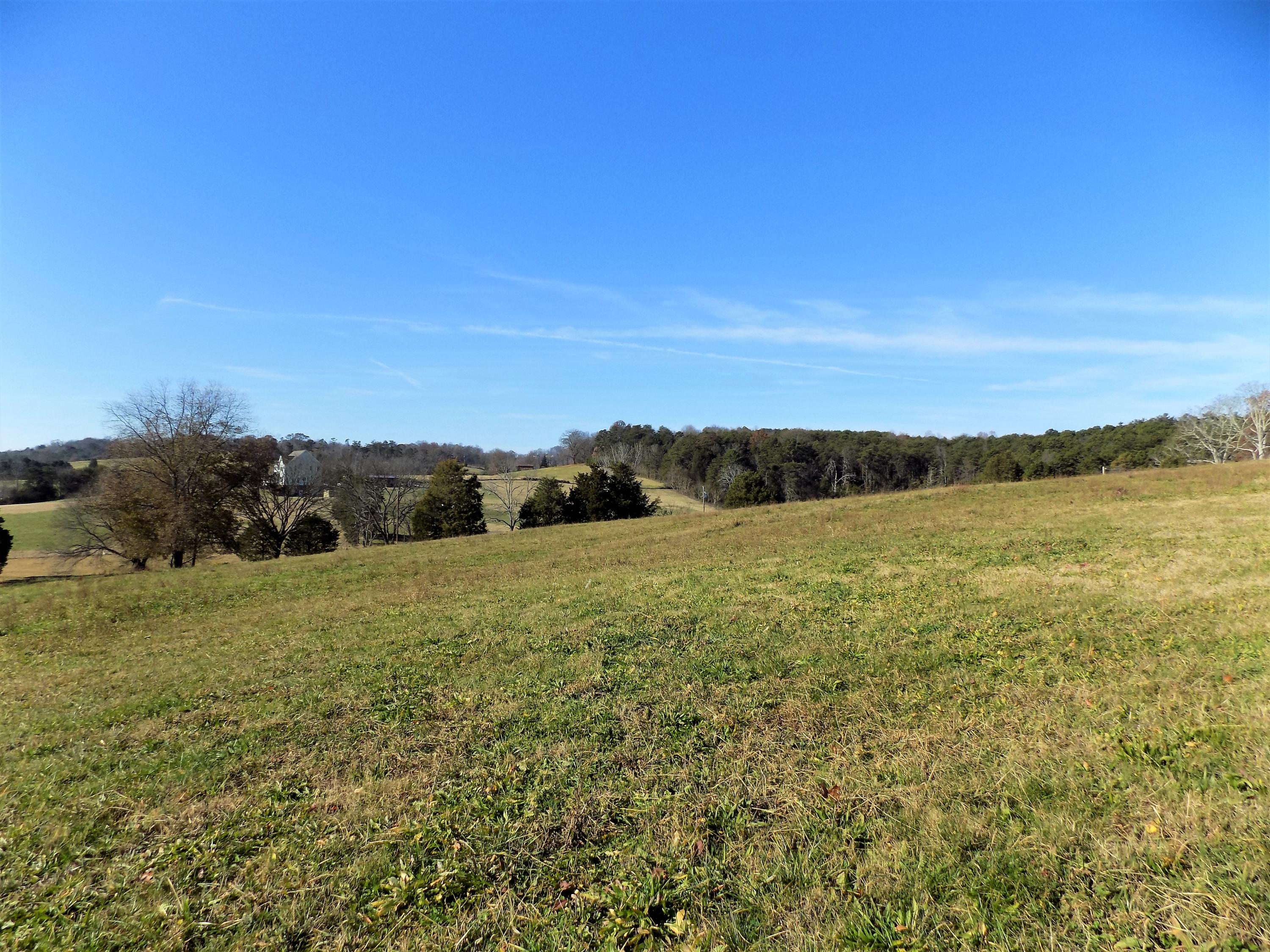 Lot #9 Palace Road Jefferson City, TN 37760 - Photo 25 of 31 Country Setting