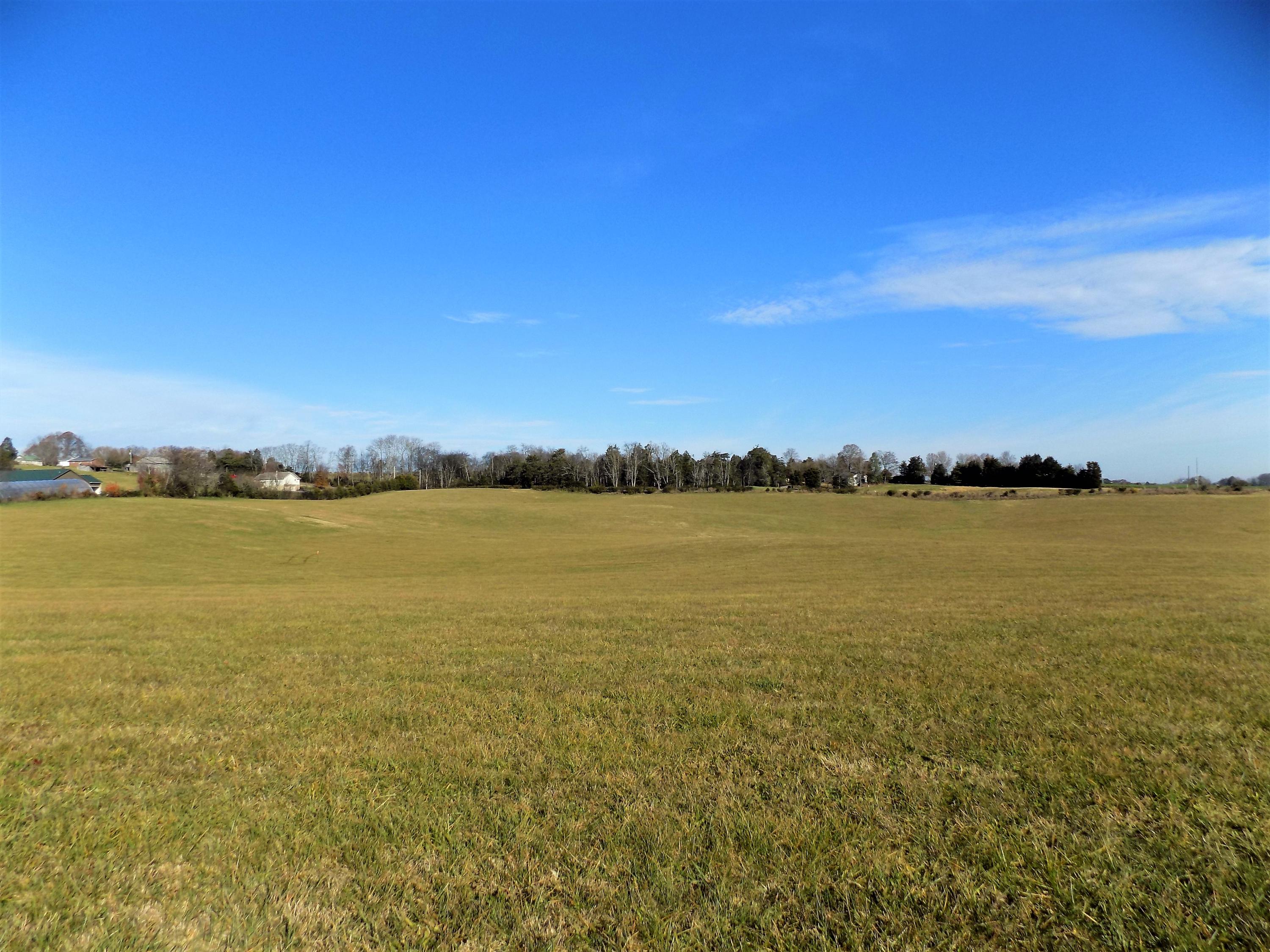 Lot #9 Palace Road Jefferson City, TN 37760 - Photo 10 of 31 Country Setting