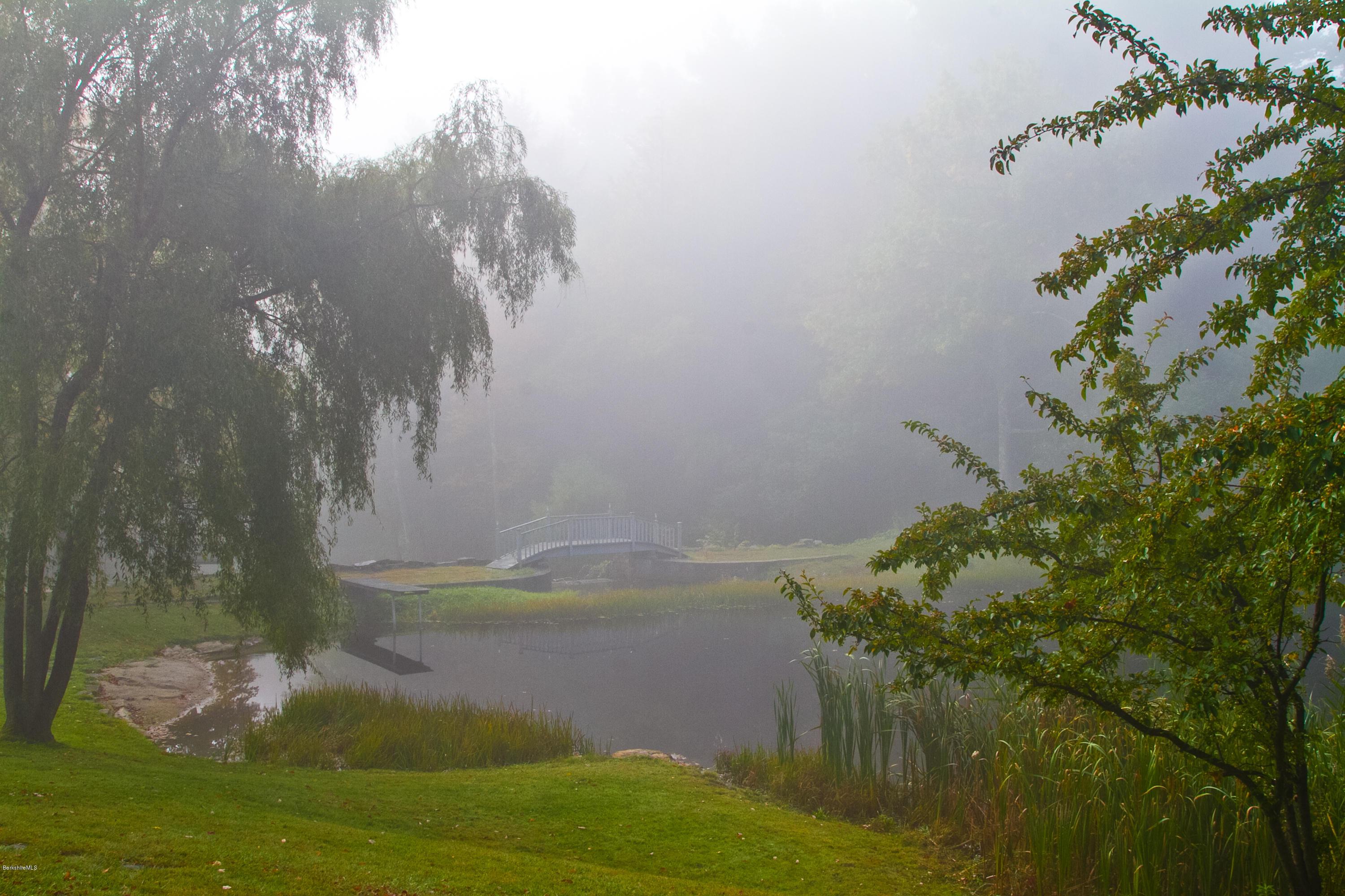 2 Brace Road Tyringham, MA 01264 - Photo 44 of 61 43 EXT_MG_4015