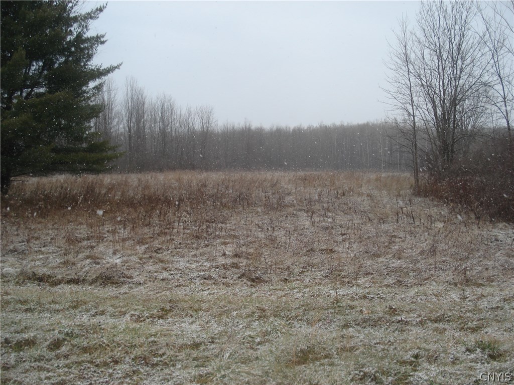 1193 Smith Ridge Road Sullivan, NY 13030 - Photo 1 of 1 Gallery Image 1