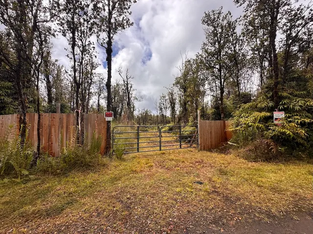a view of backyard with trees