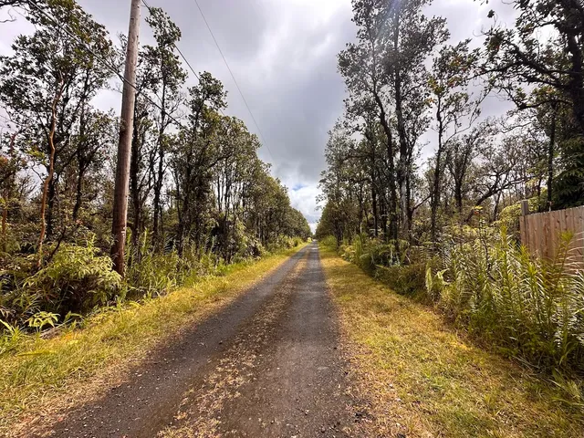 a view of an outdoor space with yard
