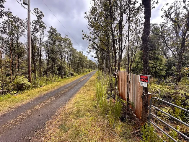 a street view with large trees