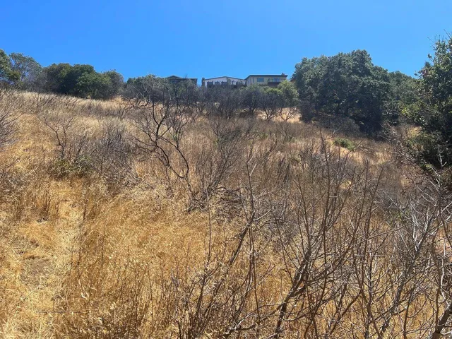 a view of mountain view with lots of trees