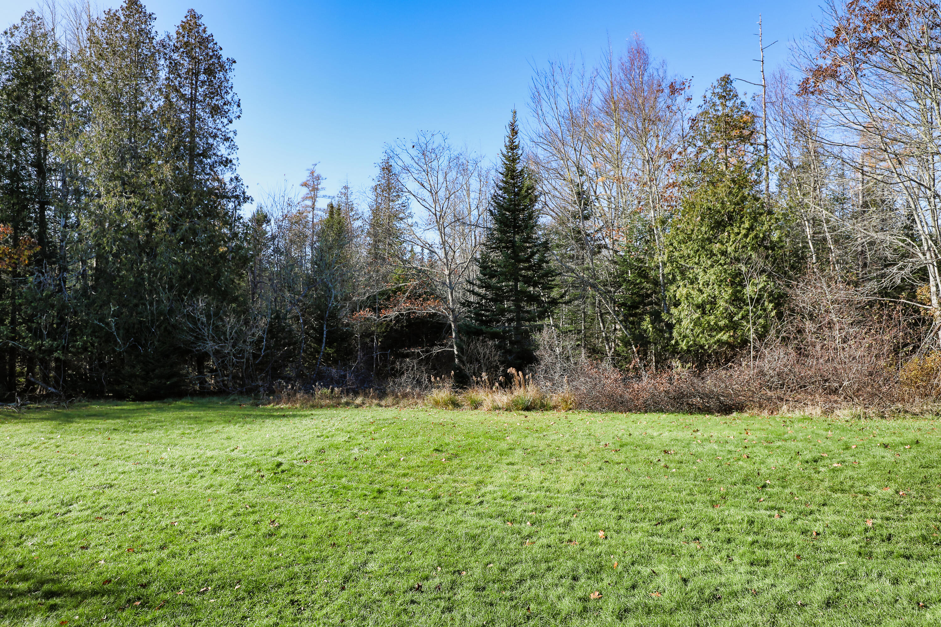541 Newbury Neck Road Surry, ME 04684 - Photo 7 of 10 20231111-184A3253