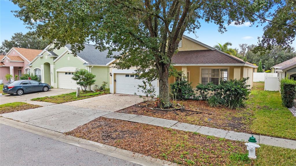 7947 Terrace Ridge Drive Temple Terrace, FL 33637 - Photo 21 of 37