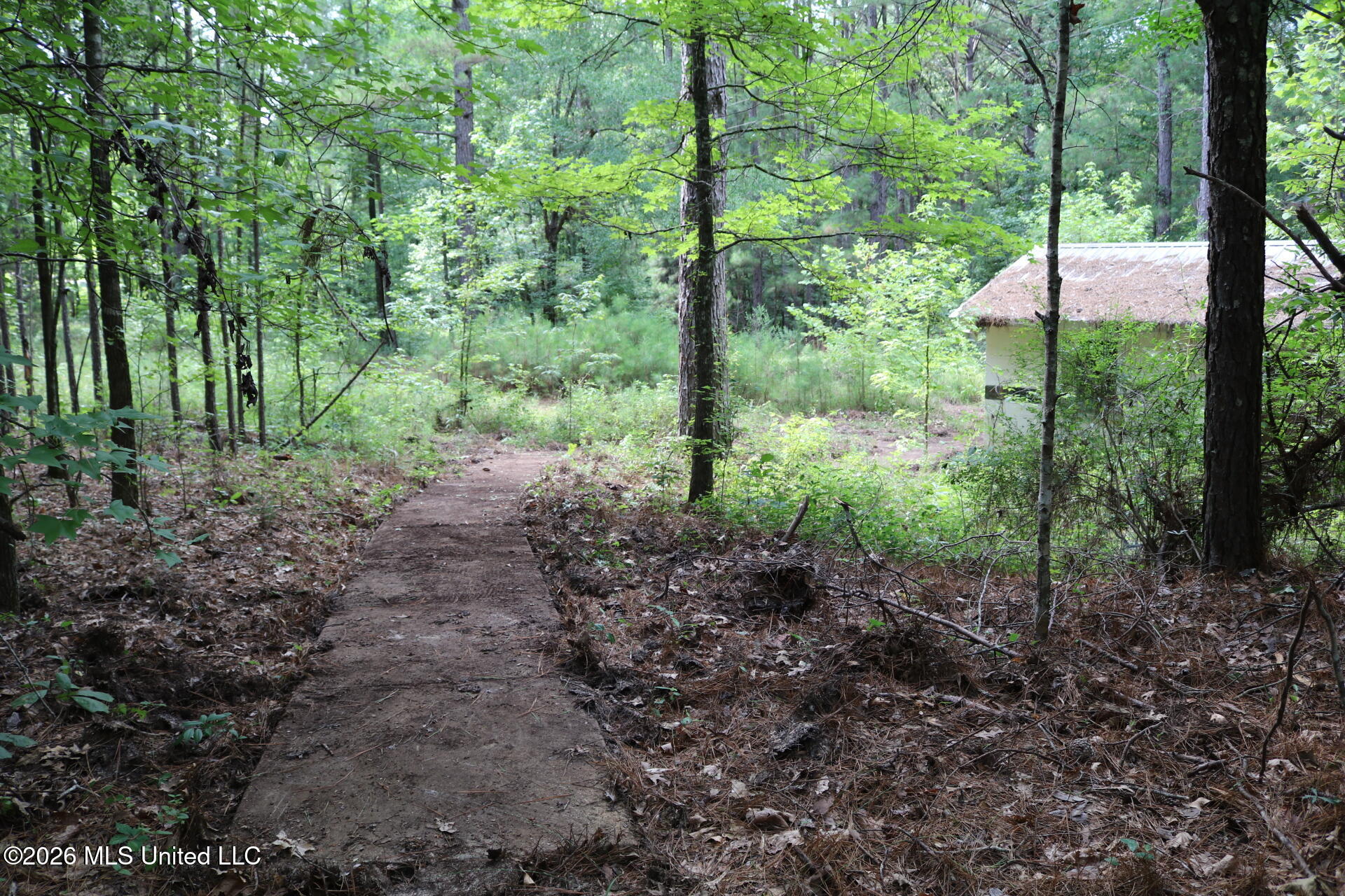 2026 Stump Bridge Road Camden, MS 39045 - Photo 3 of 18 IMG_5676