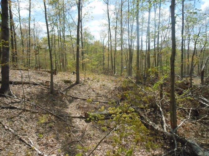 3758 East Fork Road Means, KY 40346 - Photo 23 of 30 Photo 23