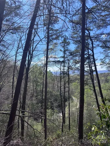 $44,000 | 0 High Pines Loop, Unit 162, Lake Lure, NC 28746