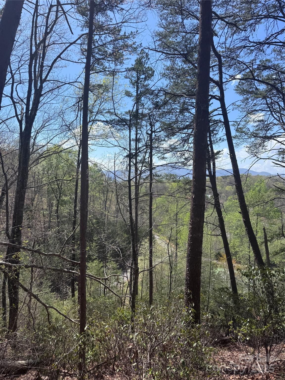 0 High Pines Loop, Unit 162 Lake Lure, NC 28746 - Photo 12 of 16