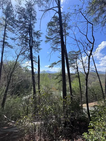 $44,000 | 0 High Pines Loop, Unit 162, Lake Lure, NC 28746