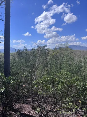 $44,000 | 0 High Pines Loop, Unit 162, Lake Lure, NC 28746