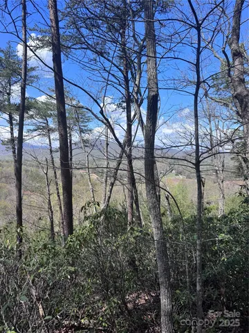 $44,000 | 0 High Pines Loop, Unit 162, Lake Lure, NC 28746