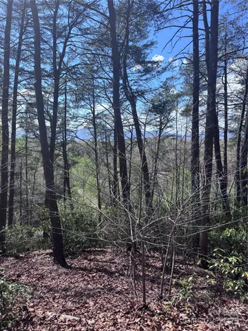 $44,000 | 0 High Pines Loop, Unit 162, Lake Lure, NC 28746