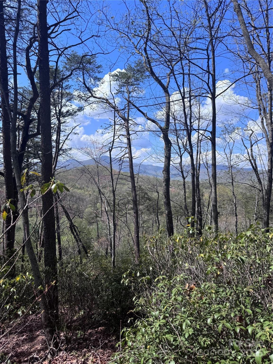 0 High Pines Loop, Unit 162 Lake Lure, NC 28746 - Photo 7 of 16