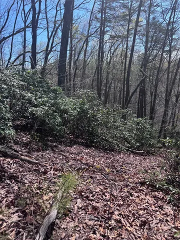 $44,000 | 0 High Pines Loop, Unit 162, Lake Lure, NC 28746