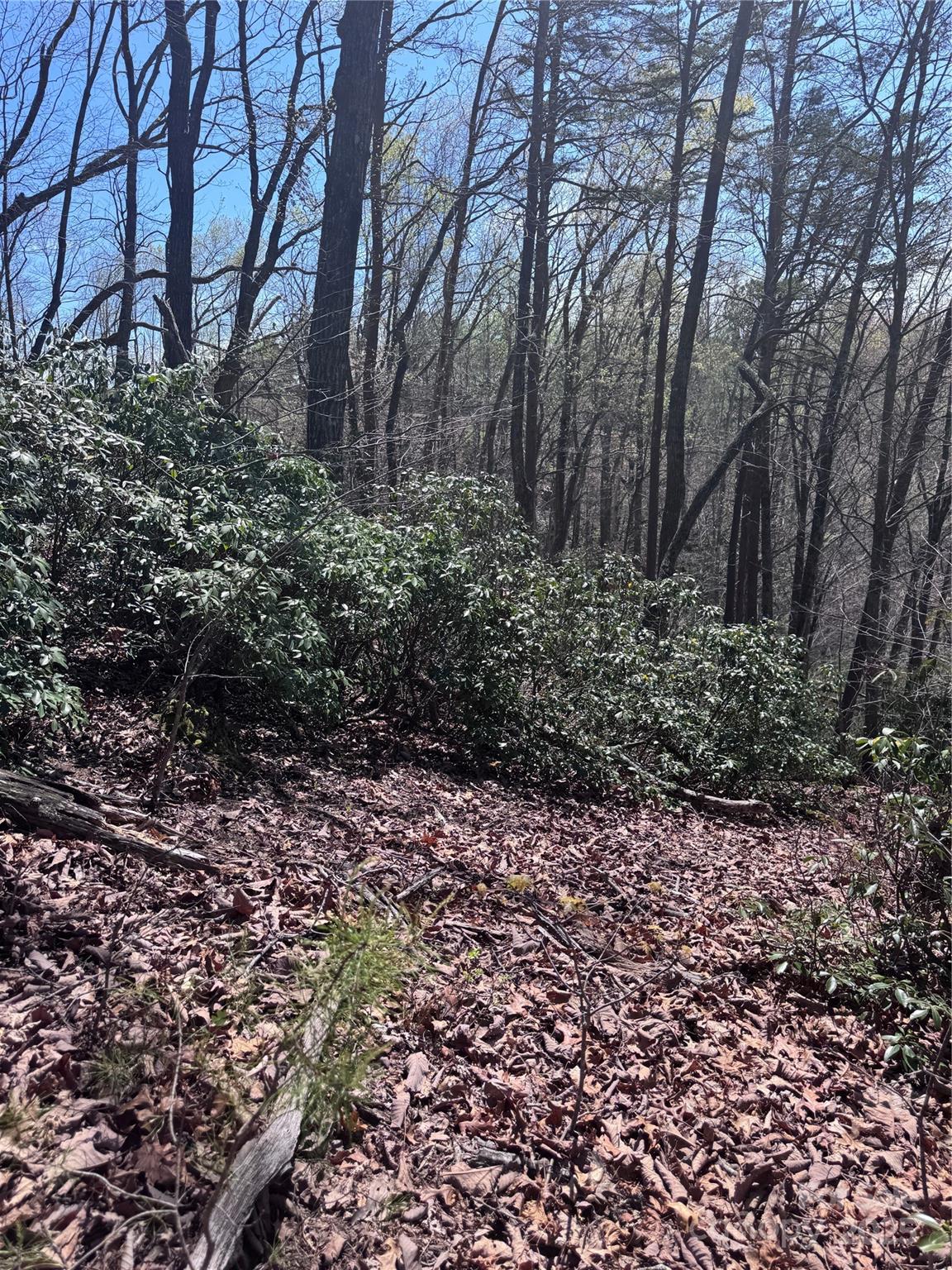 0 High Pines Loop, Unit 162 Lake Lure, NC 28746 - Photo 8 of 16