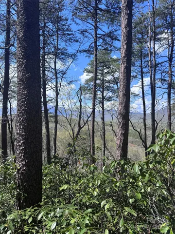 $44,000 | 0 High Pines Loop, Unit 162, Lake Lure, NC 28746