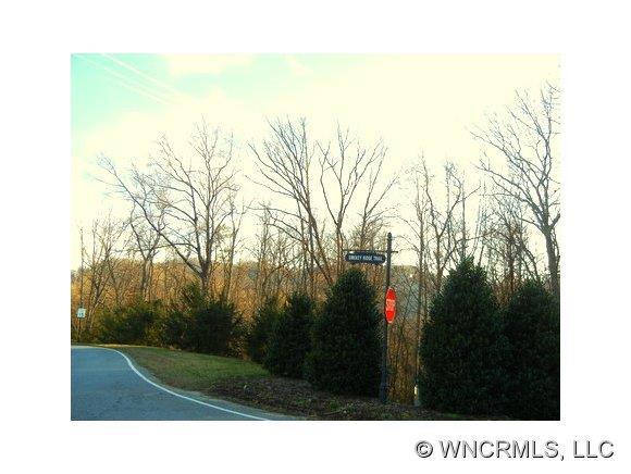85 Smokey Ridge Trail, Unit 193 Arden, NC 28704 - Photo 1 of 11 Gallery Image 1