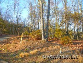 85 Smokey Ridge Trail, Unit 193 Arden, NC 28704 - Photo 3 of 11 Gallery Image 3