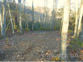 85 Smokey Ridge Trail, Unit 193 Arden, NC 28704 - Photo 6 of 11 Gallery Image 6