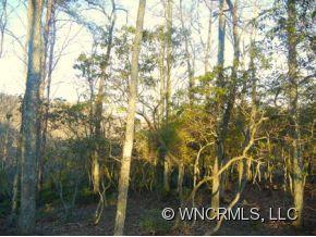 85 Smokey Ridge Trail, Unit 193 Arden, NC 28704 - Photo 8 of 11 Gallery Image 8