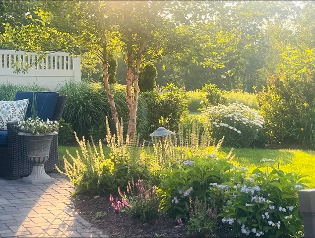 a view of swimming pool of the patio
