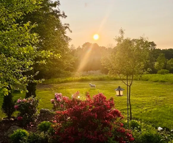 a view of an ocean with a mountain