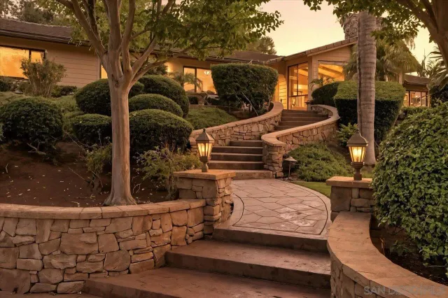 a view of a yard with plants