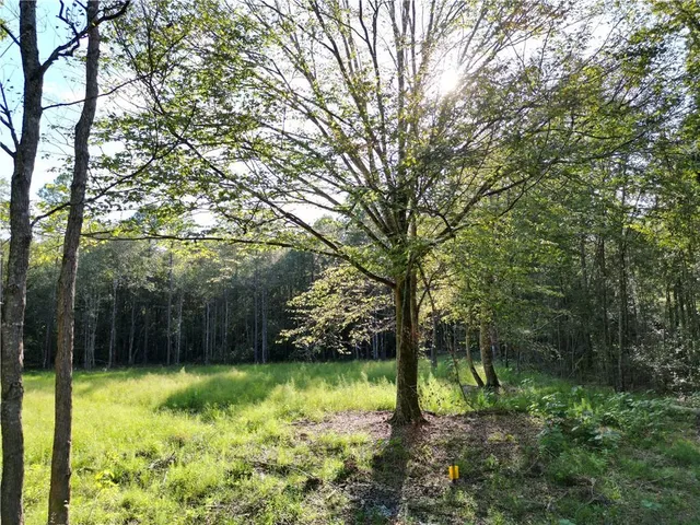 $240,000 | 105 Hialeah Drive, Bush, LA 70431