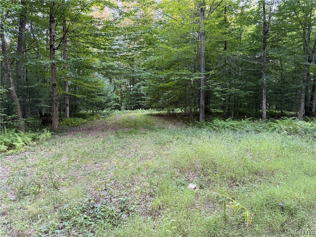 Lot #1 River Road Forestport, NY 13338 - Photo 12 of 13 Gallery Image 12