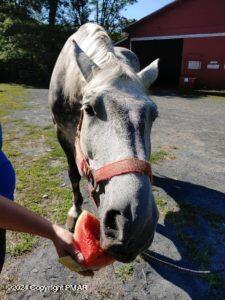 Lot 151 Bear Drive Bushkill, PA 18324 - Photo 6 of 7 a view of entryway