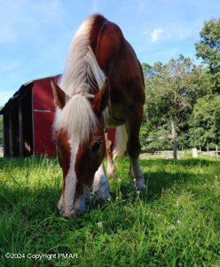 Lot 151 Bear Drive Bushkill, PA 18324 - Photo 7 of 7