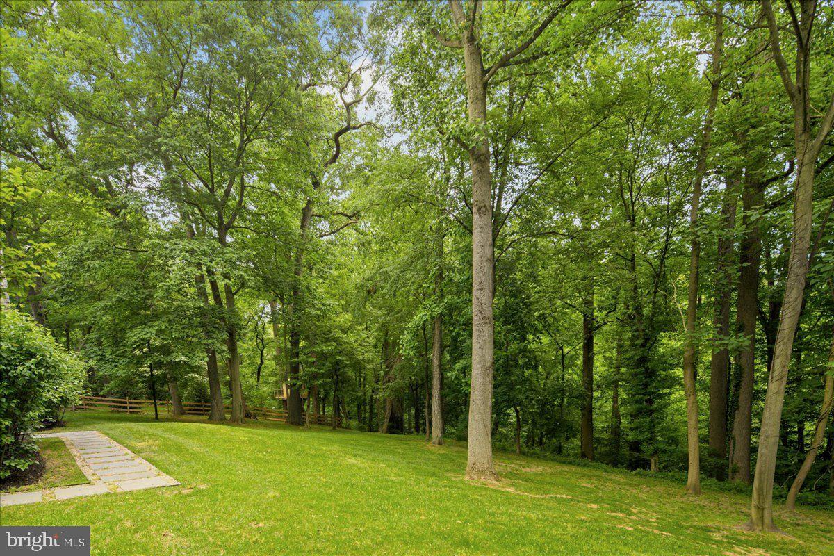 724 St Andrews Road Philadelphia, PA 19118 - Photo 4 of 46