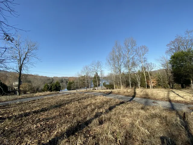 a view of dirt yard with large trees