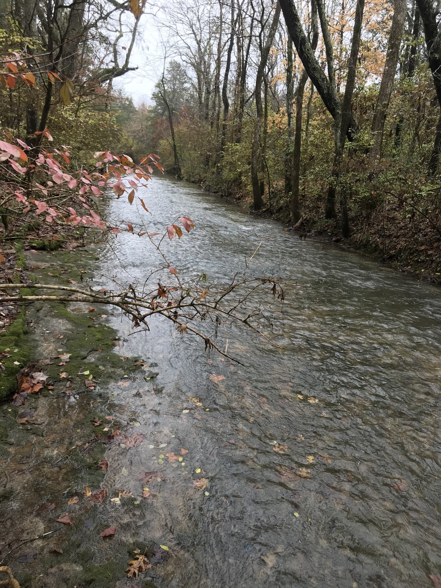 2390 Benders Ferry Road Mount Juliet, TN 37122 - Photo 2 of 12 a view of snow on the side of a road
