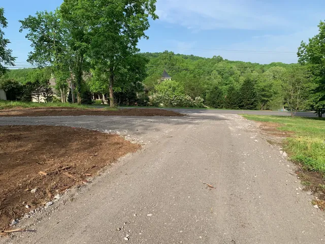 a view of a field with trees in the background