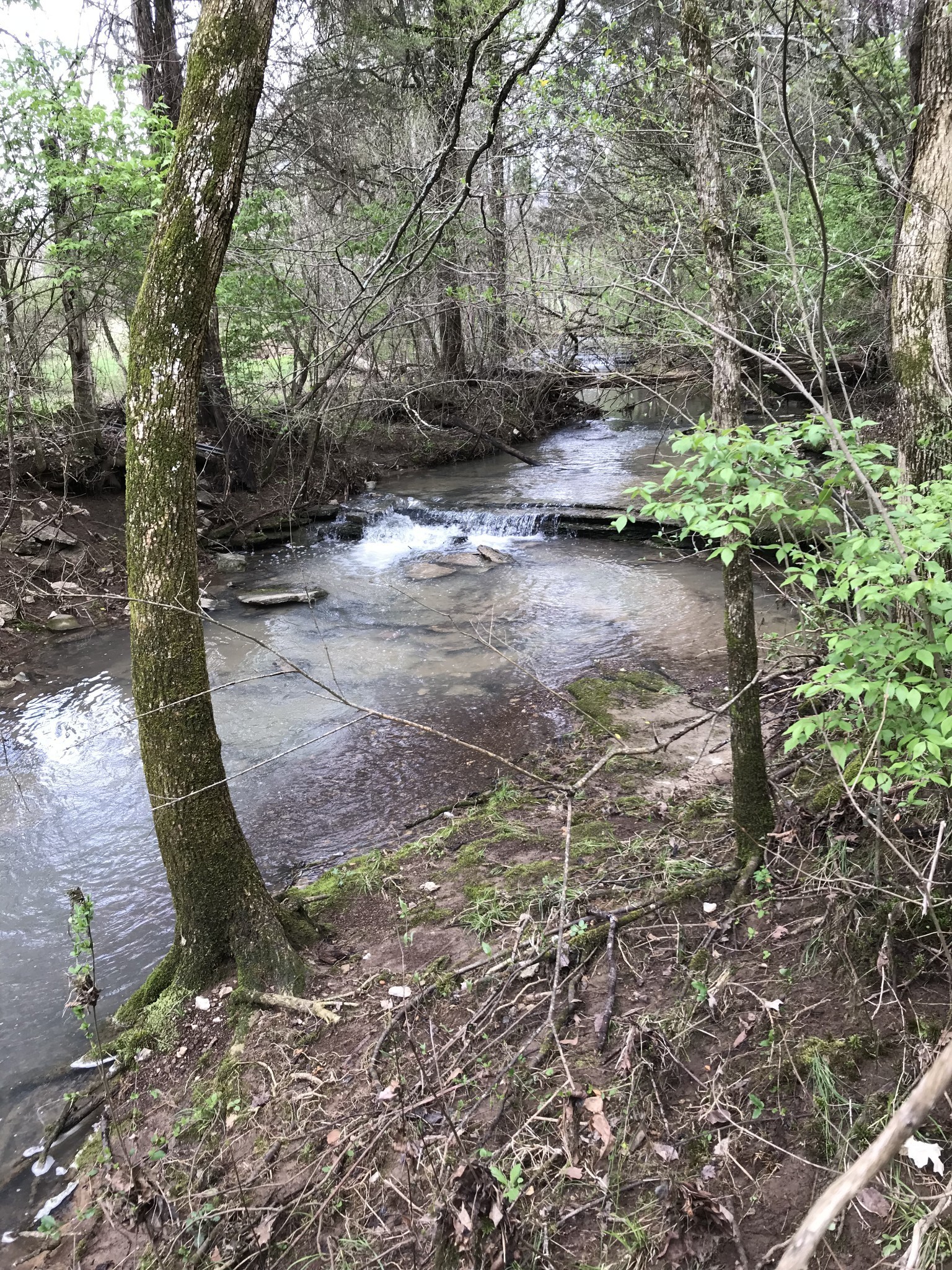 2390 Benders Ferry Road Mount Juliet, TN 37122 - Photo 9 of 12 a view of backyard