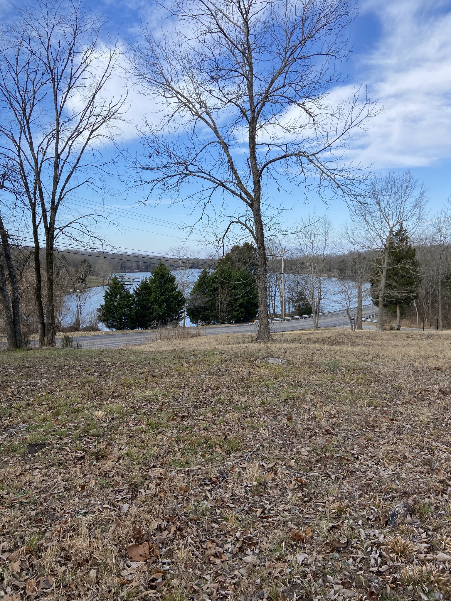 2390 Benders Ferry Road Mount Juliet, TN 37122 - Photo 10 of 12 a view of a backyard with large trees