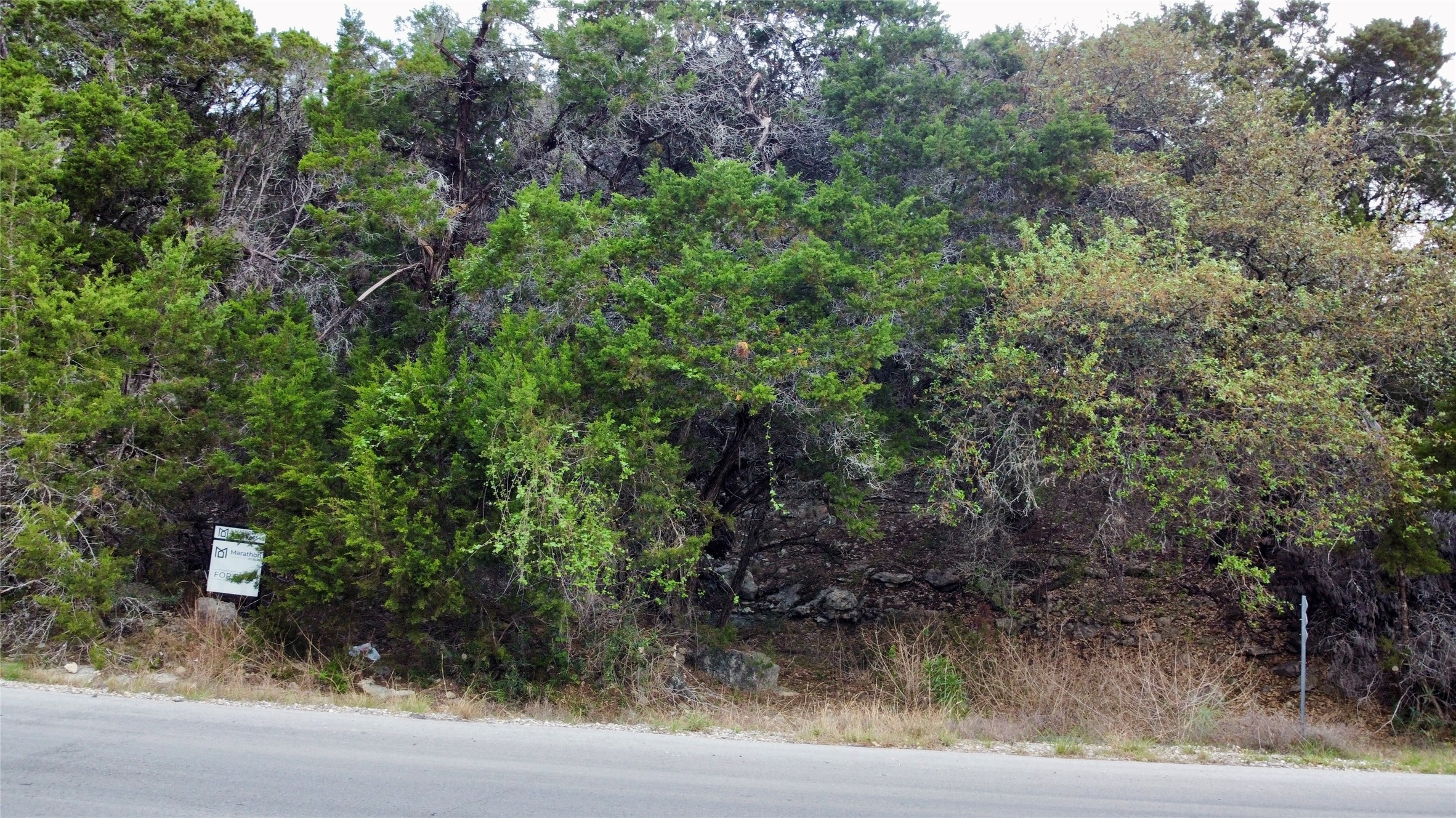 0 Rousey Street Canyon Lake, TX 78133 - Photo 3 of 7 a view of a yard with plants and a bench under a large tree