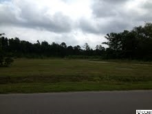 43-acres Allen Dew Road Conway, SC 29527 - Photo 1 of 5