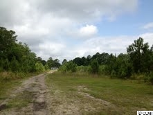 43-acres Allen Dew Road Conway, SC 29527 - Photo 5 of 5