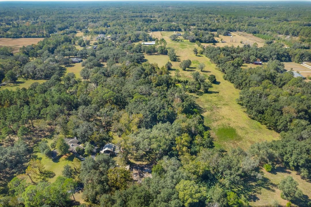 Vacant (2.0 Morgan Whiddon Road Perry, FL 32347 - Photo 8 of 13