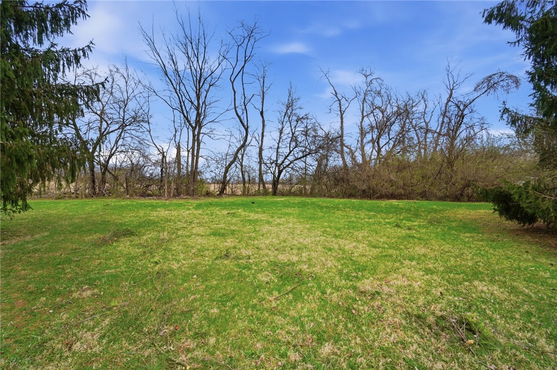 1166 West Sparrow Road Springfield, OH 45502 - Photo 39 of 40 Expansive green yard with mature trees, offering a serene outdoor space.