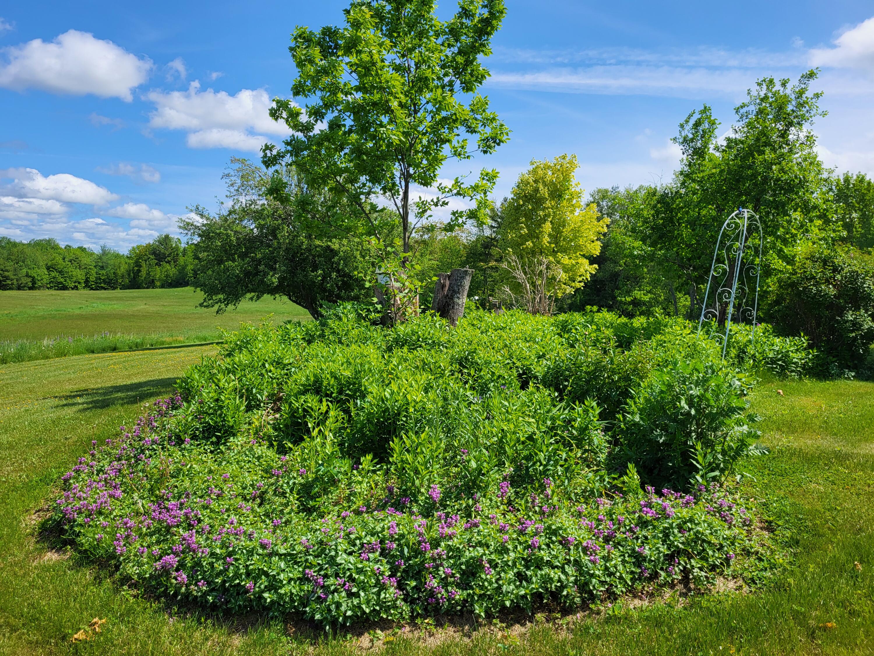 369 Barton Road Windsor, ME 04363 - Photo 13 of 135 20220531_141937